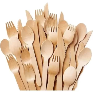 Disposable Spoons