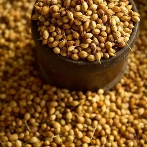Coriander Seeds
