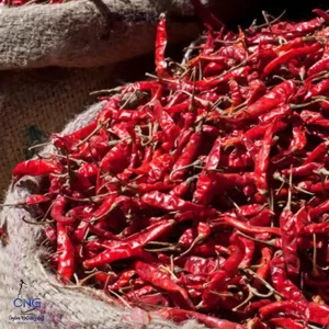 Red Chilli