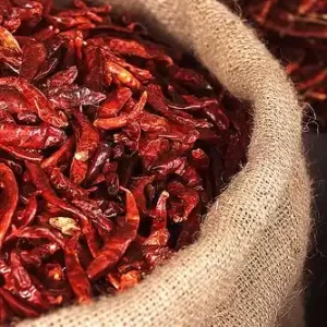 Red Chilli